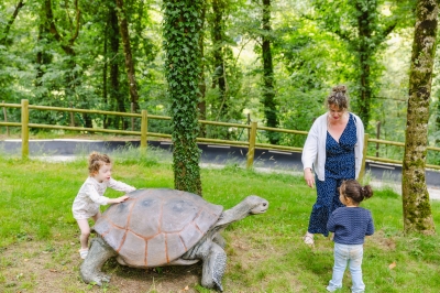 Les animaux disparus